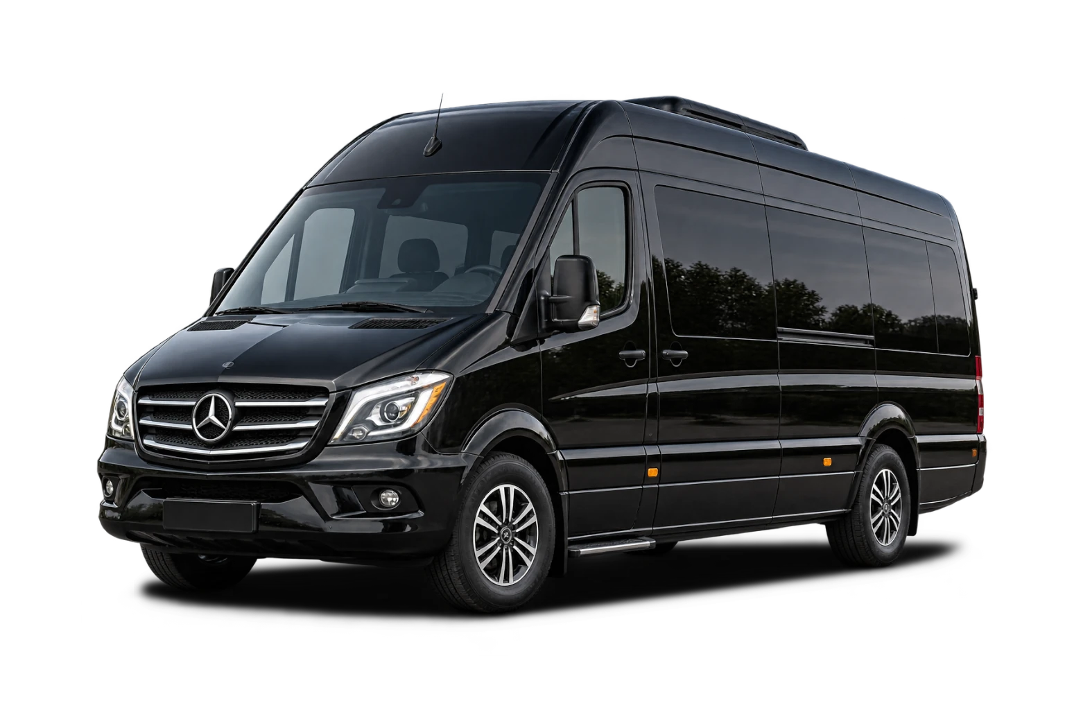 Executive Sprinter van for small group transportation
