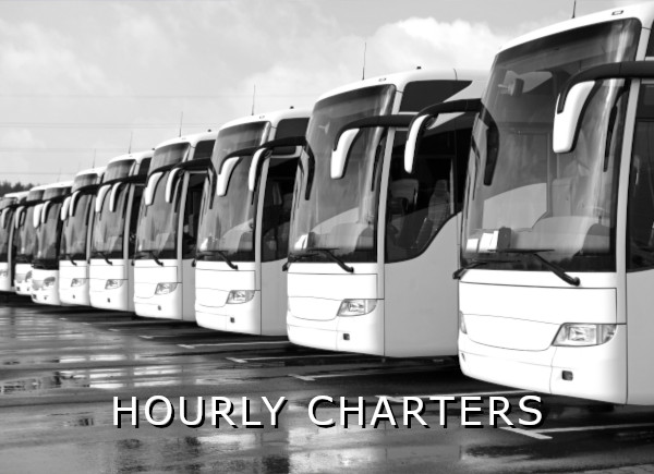 Royal Coach Charter Bus: The Ultimate Guide to Group Travel in the USA